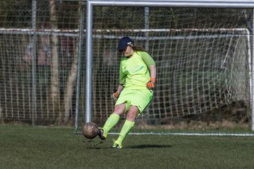 Bild 233 - C-Juniorinnen SV Steinhorst/Labenz - TSV Friedrichsberg-Busdorf : Ergebnis: 5:0